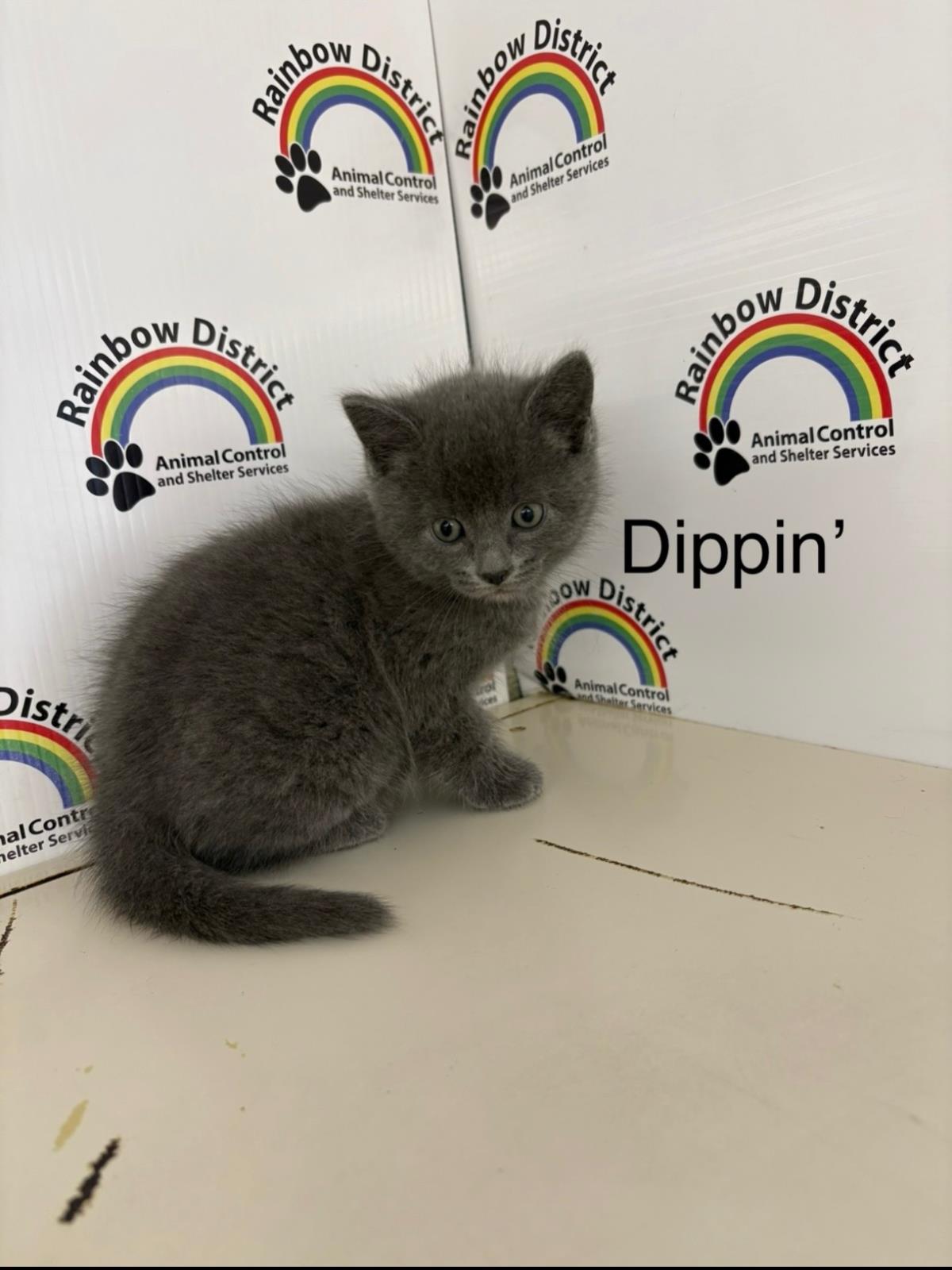 Dippin'