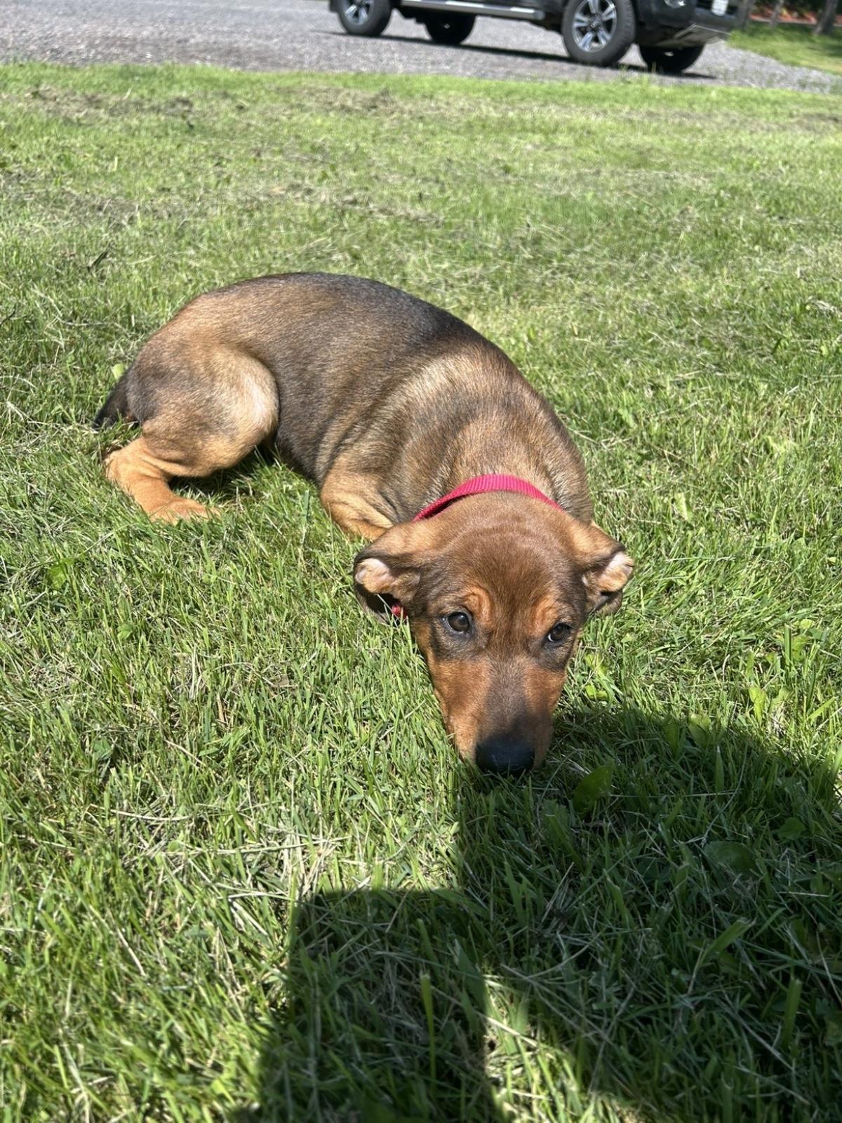Athena