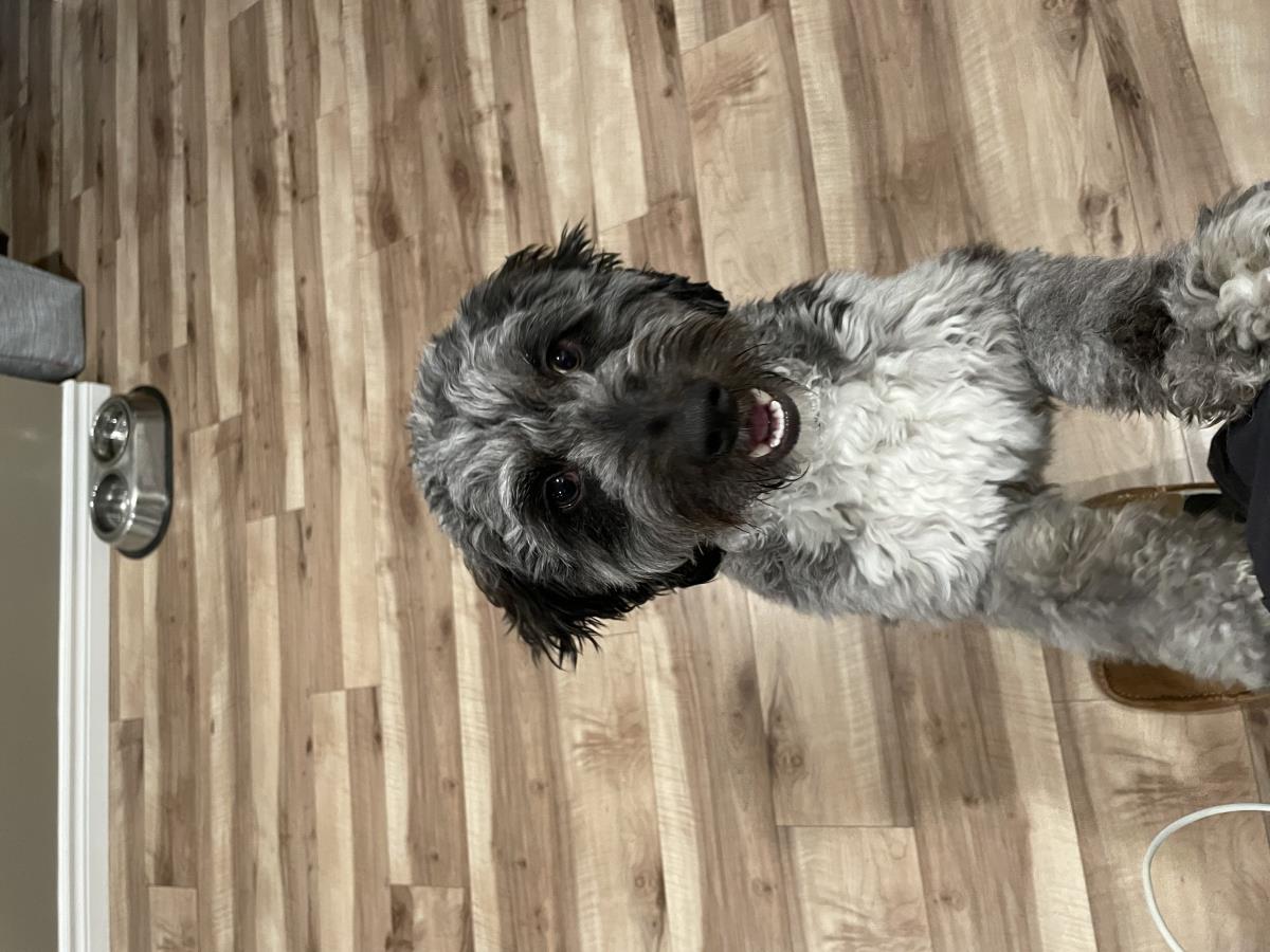 Odin