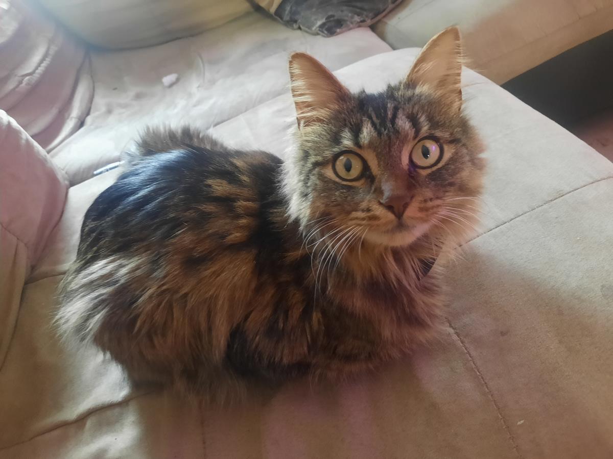 Charlie