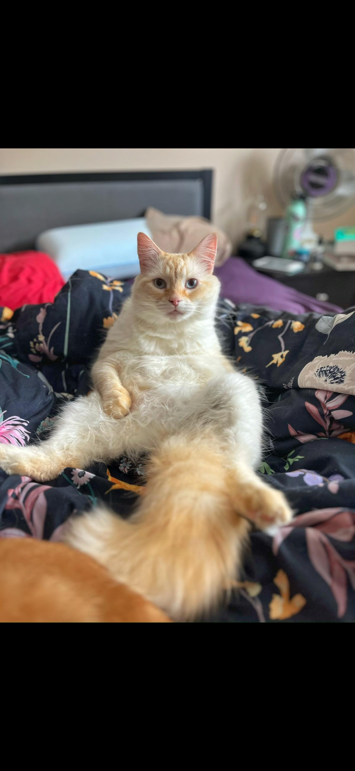 Binx